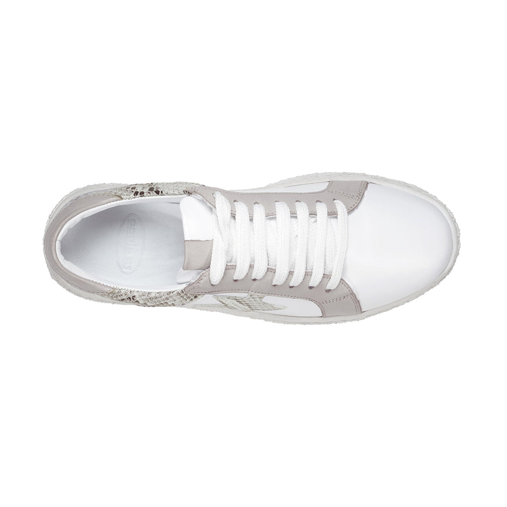 Charlee White Snake Skin Two-Tone Star Motif Lace Up Sneakers - Fierce and Chic